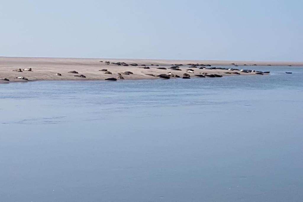 Maison Berckoise Belle Epoque - Plage Et Centre Esterno foto